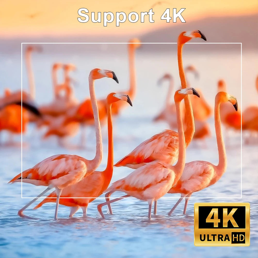 Projetor 4K Portátil com Android 11: Transforme Qualquer Ambiente em uma Tela de Cinema
